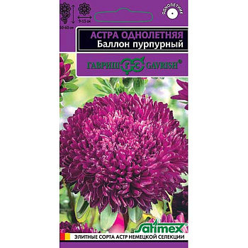 Астра Баллон пурпурный Гавриш Ц х10 