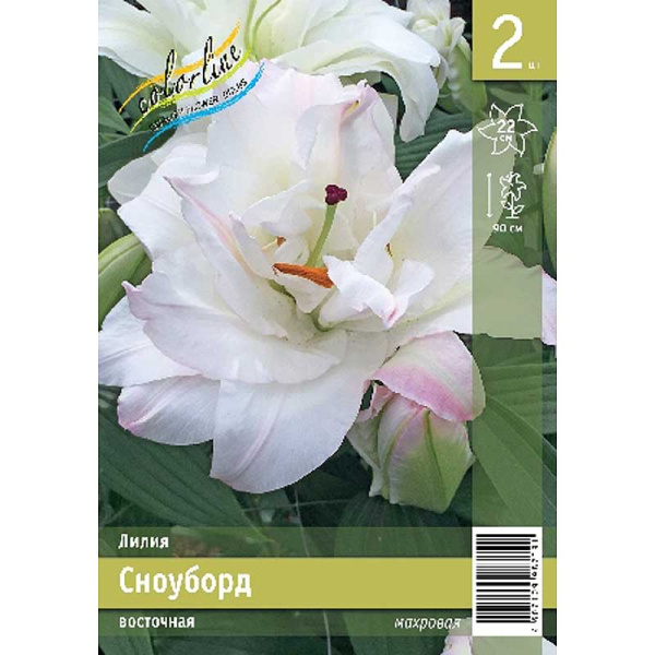 Лилия Сноуборд 12/14 2 Эконом шт 