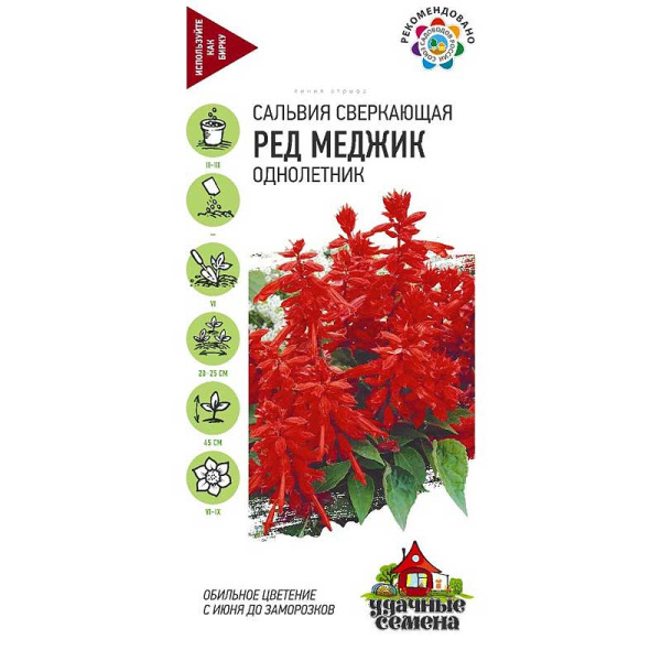 Сальвия Ред Меджик Удач сем Гавриш Ц 