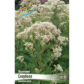 8577 Биг-Пак Посконник Сноуболл I 25 шт 