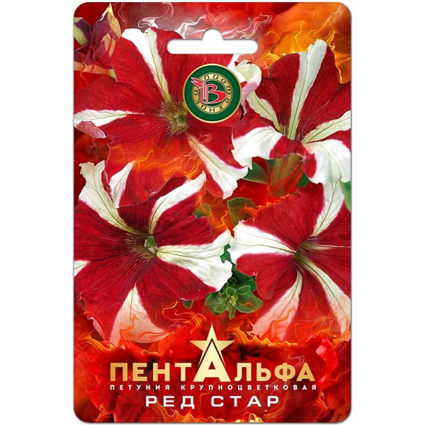 Петуния Пентальфа Ред Стар Биотехника Ц 