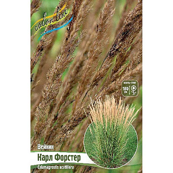 Вейник Карл Форстер 2/3 2 шт 