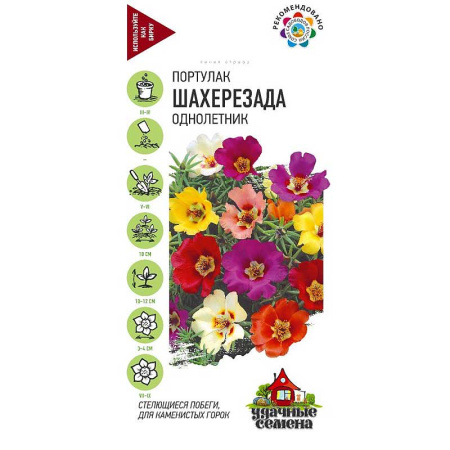 Портулак Шахерезада Удачные семена  Гавриш Ц 