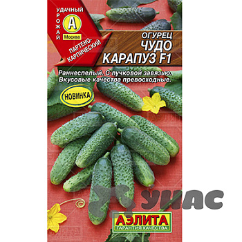 Огурец Чудо карапуз Аэлита Ц