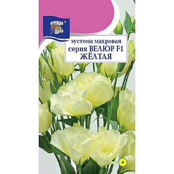 Эустома Велюр Желтая махр Урожай у дачи Ц 