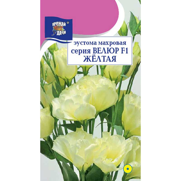 Эустома Велюр Желтая махр Урожай у дачи Ц 