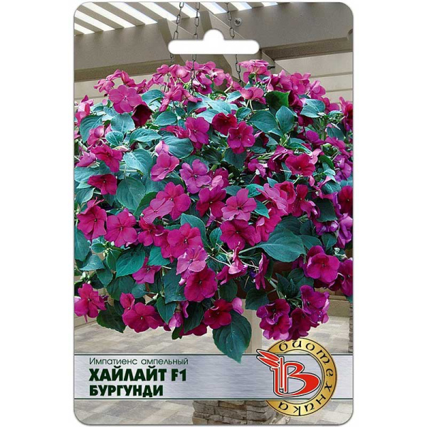 Импатиенс Хайлайт Бургунди Биотехника Ц 