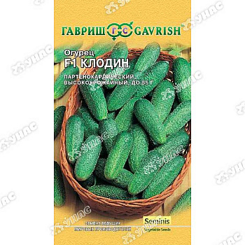 Огурец Клодин Гавриш Ц