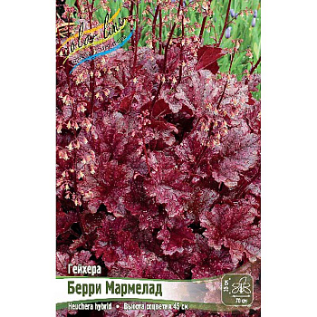 Гейхера Берри Мармелад I 25 шт Биг-пак 523