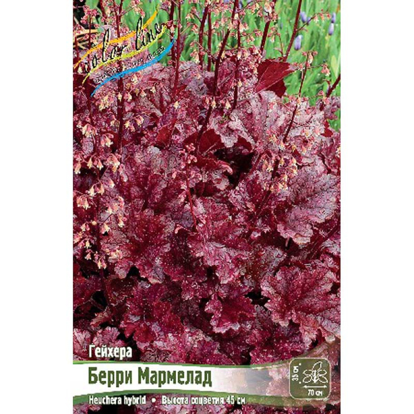 Гейхера Берри Мармелад I 25 шт Биг-пак 523