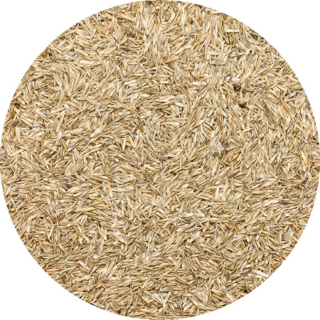 Травосмесь "Газон Канада Супер Грин" 1кг САДОВИТА