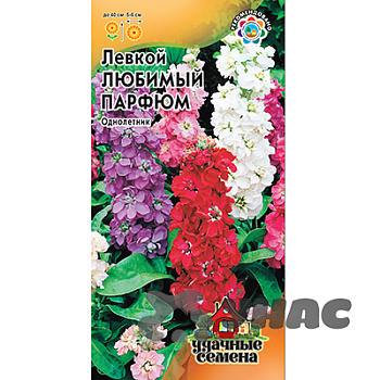 Левкой Любимый парфюм Удачные семена Гавриш Ц 