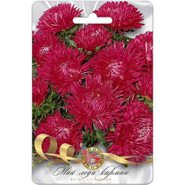 Астра Май Леди Кармин Биотехника Ц 