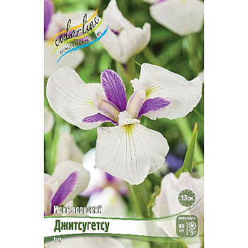 Ирис Мечевидный Джитсугетсу I 1 шт