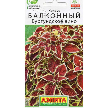 Колеус Бургундское вино Аэлита Ц 
