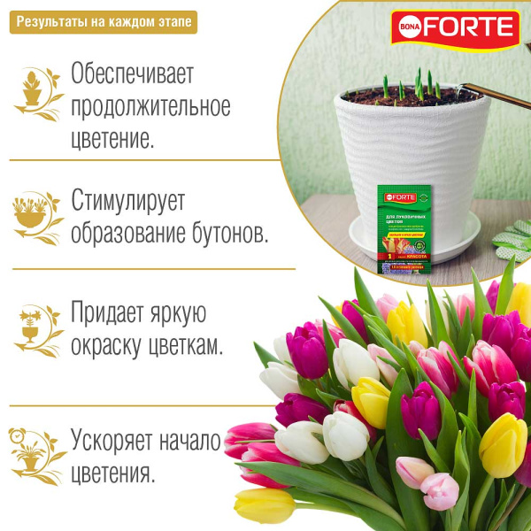 Бона Форте 10 мл КРАСОТА Для луковичных х75 