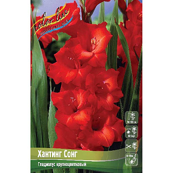 Гладиолус Хантинг Сонг 10/12 10 шт
