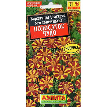 Бархатцы Полосатое чудо Аэлита Ц 