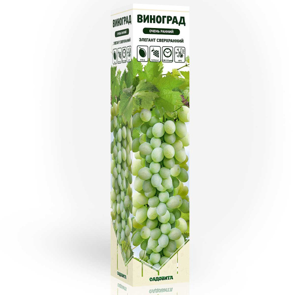 Виноград Элегант Сверхранний очень ранний Садовита