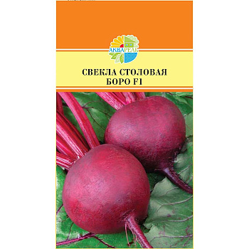 Свекла Боро Маринда/Акварель