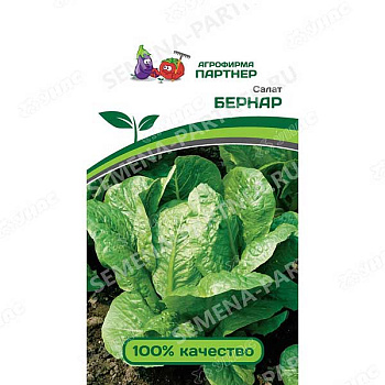 Салат Бернар Партнер Ц