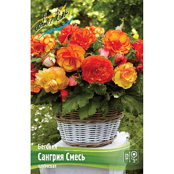 Бегония Сангрия Смесь 4/5 50 шт Шоу-бокс 14146