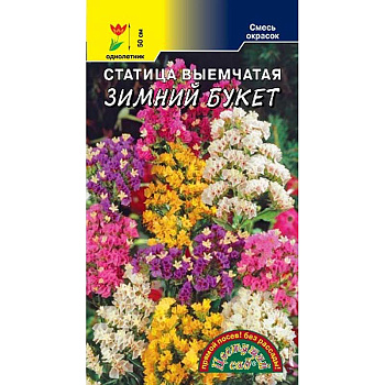 Семена Статице Зимний букет ЦветСад Ц 