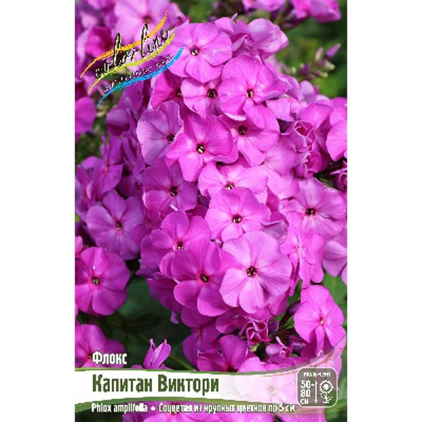 8399 Биг-Пак Флокс Капитан Виктори I 25 шт