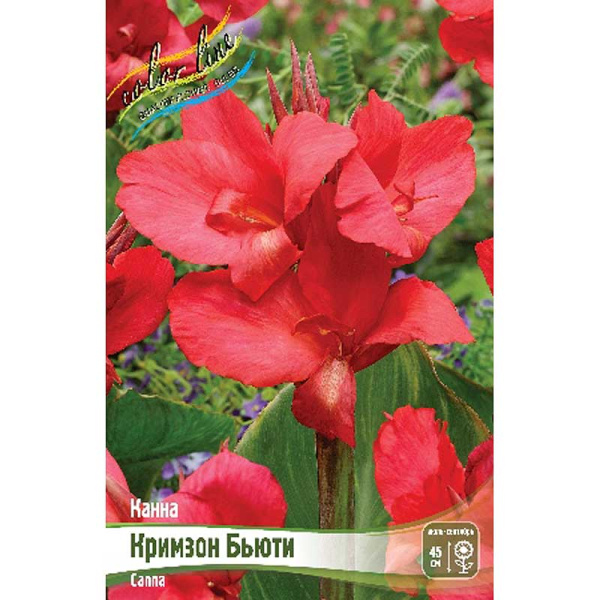 Канна (Зелен) Кримзон Бьюти I 15 шт Шоу-бокс 5461
