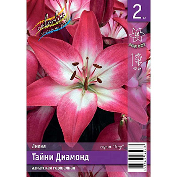 Лилия Тайни Диамонд 10/12 2 Эконом шт 