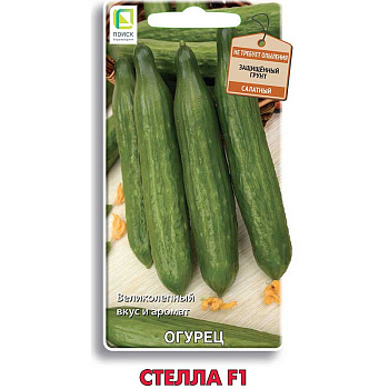 Огурец Стелла Поиск Ц