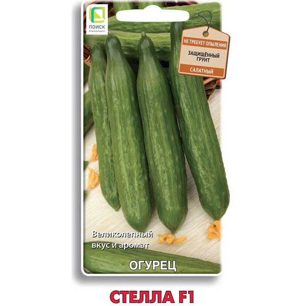 Огурец Стелла Поиск Ц