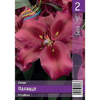 Лилия Палаццо 14/16 2 Эконом шт 