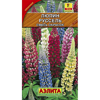 Люпин Руссель многолетний Аэлита Ц 