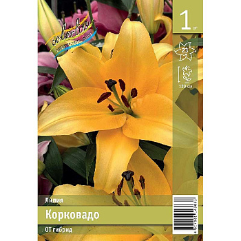 Лилия Корковадо 14/16 1 Эконом шт 