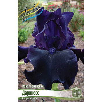 Ирис Германский Даркнесс I 25 шт Биг-пак 4675
