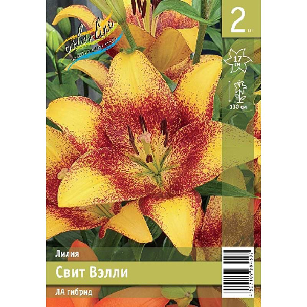 Лилия Свит Вэлли 12/14 2 Эконом шт 