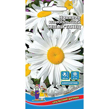 Нивяник Белый танец Марс Ц 