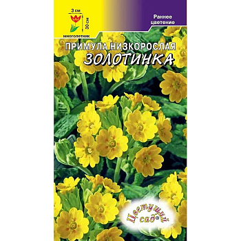 Примула Золотинка ЦветСад Ц 