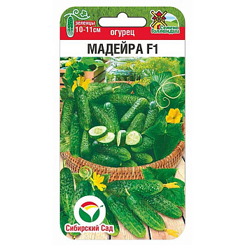 Огурец Мадейра СибСад