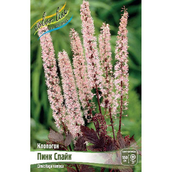 8436 Биг-Пак Клопогон Пинк Спайк I 25 шт 