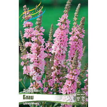 Дербенник Иволистный Блаш I 1 шт