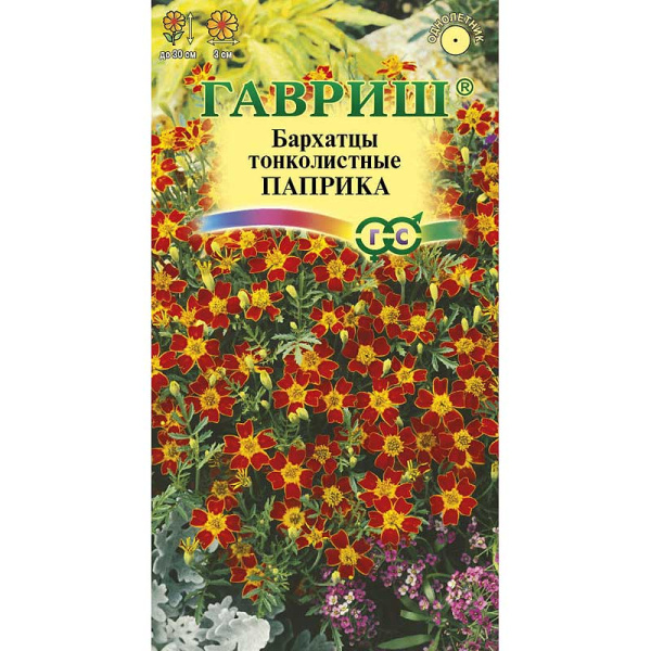 Бархатцы Паприка тонколист. Гавриш Ц 