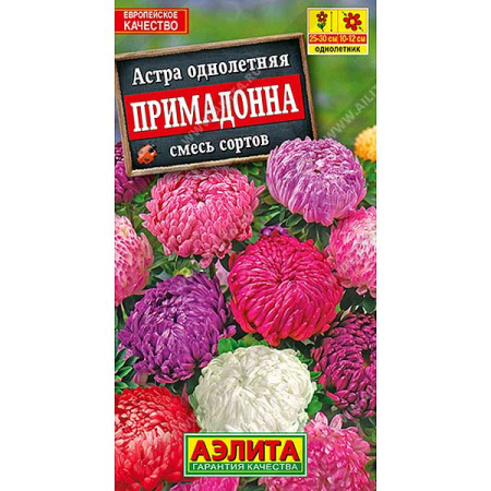 Астра Примадонна Аэлита Ц 