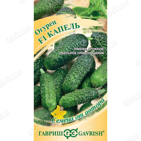 Огурец Каапель Гавриш Ц