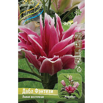 Лилия Дабл Фэнтези 12/14 25 шт Биг-пак 16532