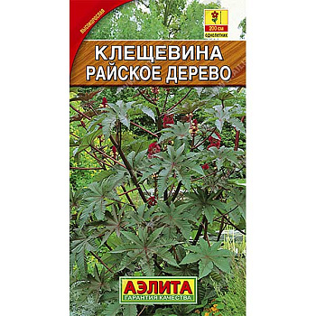 Клещевина Райское дерево  Аэлита Ц 