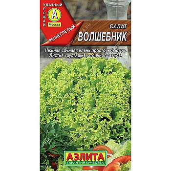 Салат Волшебник Аэлита Ц