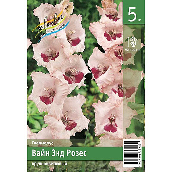 Гладиолус Вайн Энд Розес 10/12 5 Эконом шт 