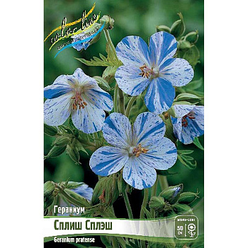 Гераниум Сплиш Сплэш I 1 шт